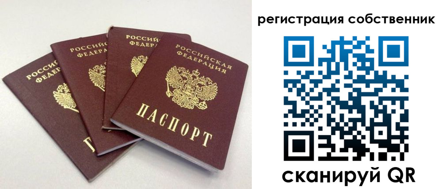 прописка для школы в Камчатской области