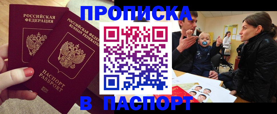 регистрация в Камчатской области